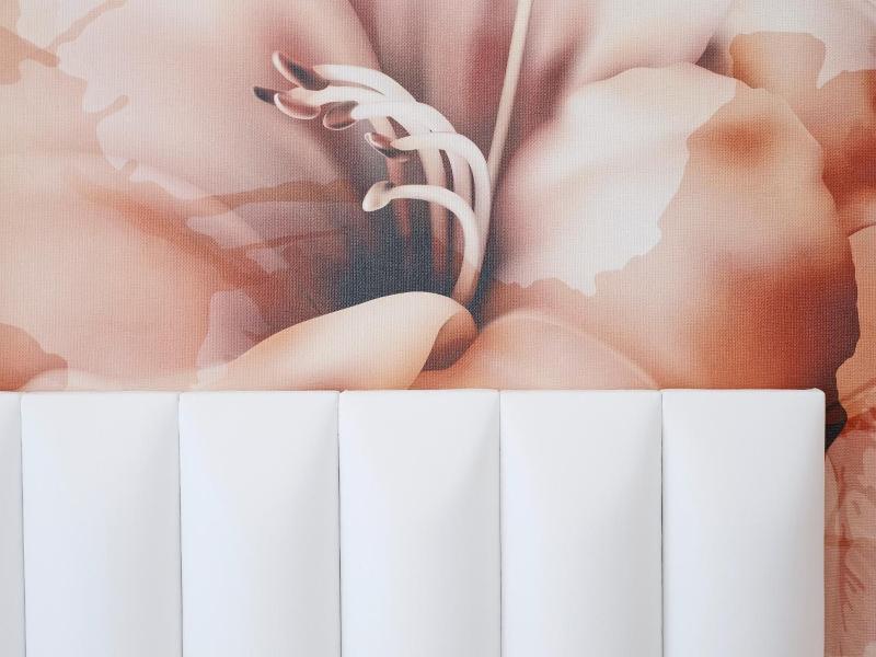 Stella Doro image
