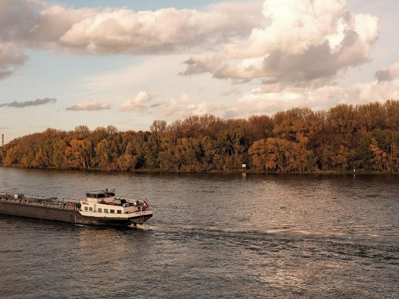 Hotel Am Rhein image