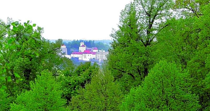 Hotel & Restaurant Waldschloss image