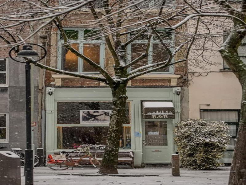 Urban Dreams Bed And Breakfast image