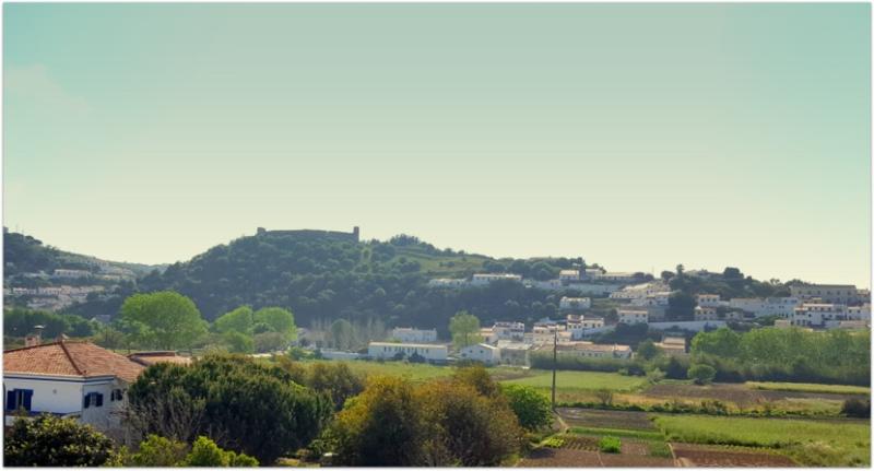 Vicentina Hotel image