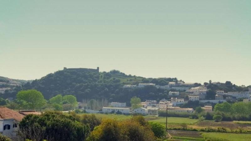Vicentina Hotel image
