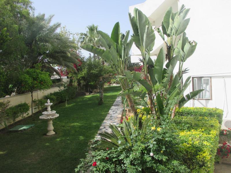 Tsialis Hotel Apts image