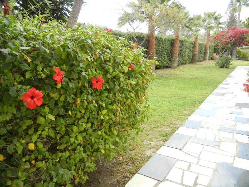 Tsialis Hotel Apts image