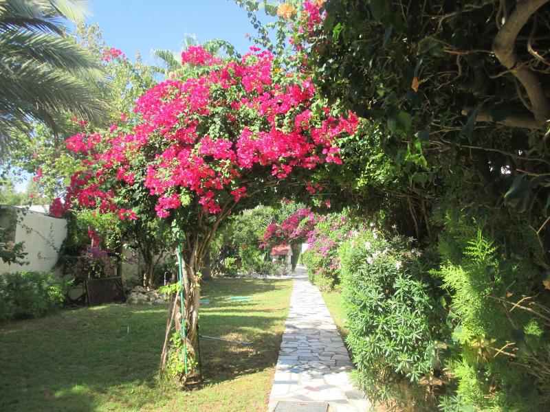 Tsialis Hotel Apts image