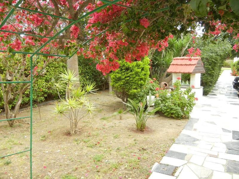 Tsialis Hotel Apts image