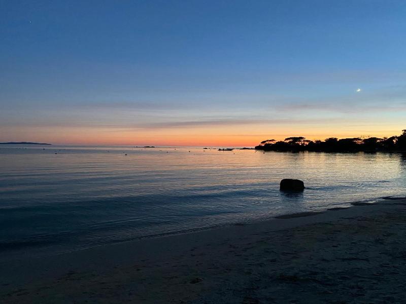 Palm Beach image