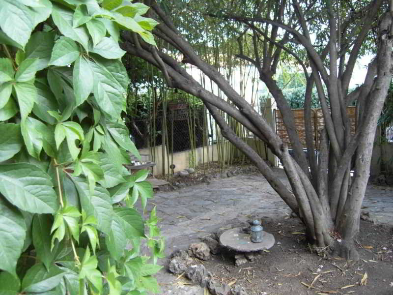 Cielito Lindo image