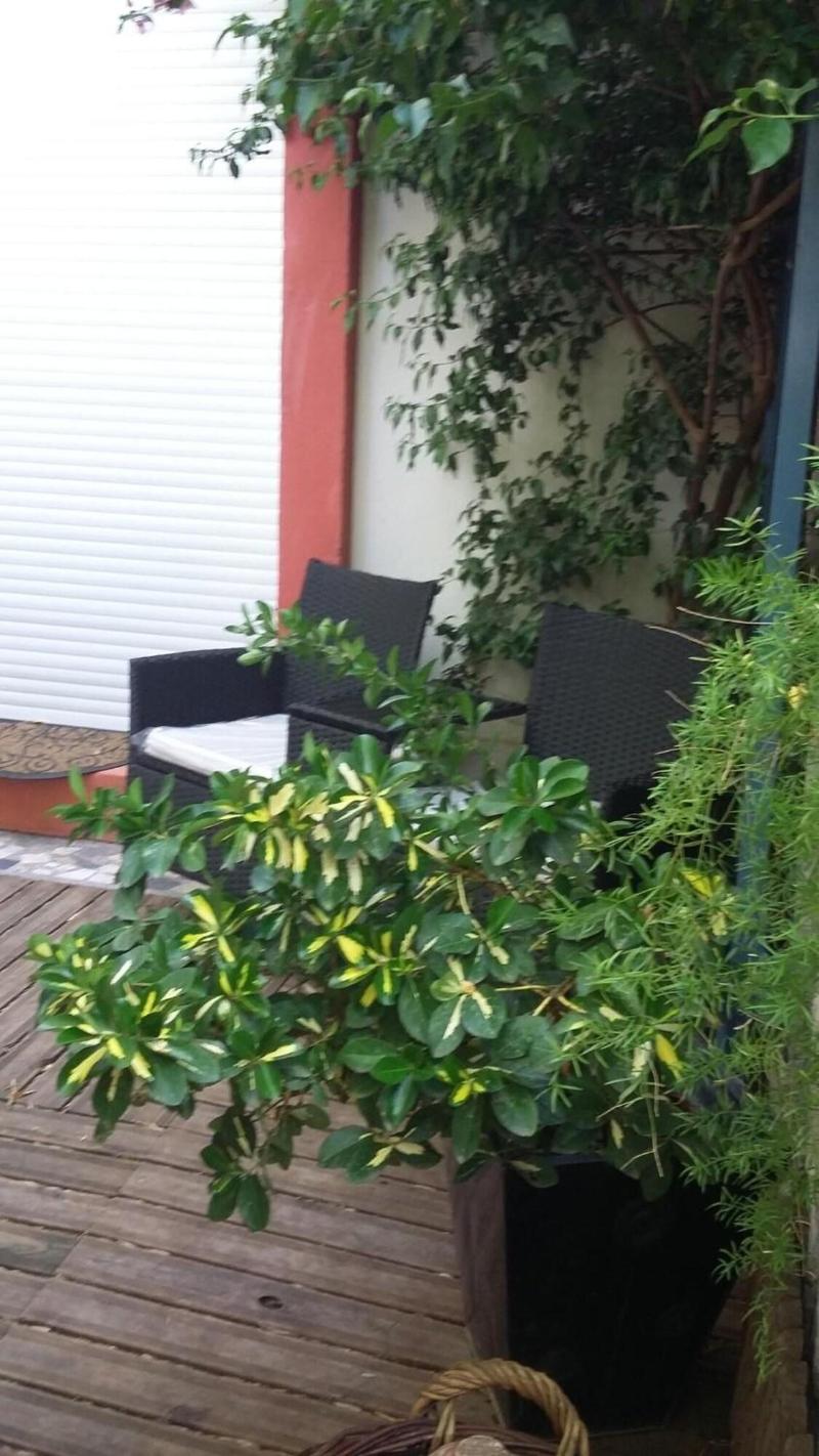 Cielito Lindo image