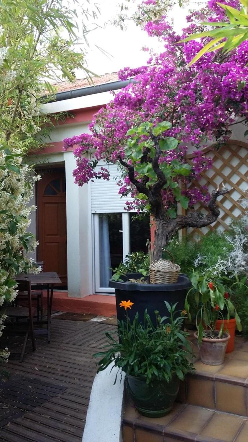 Cielito Lindo image