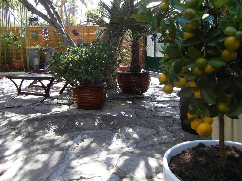 Cielito Lindo image