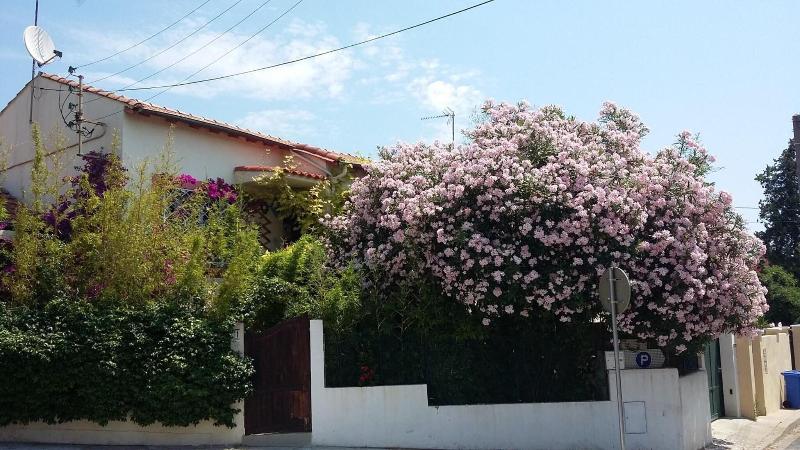 Cielito Lindo image