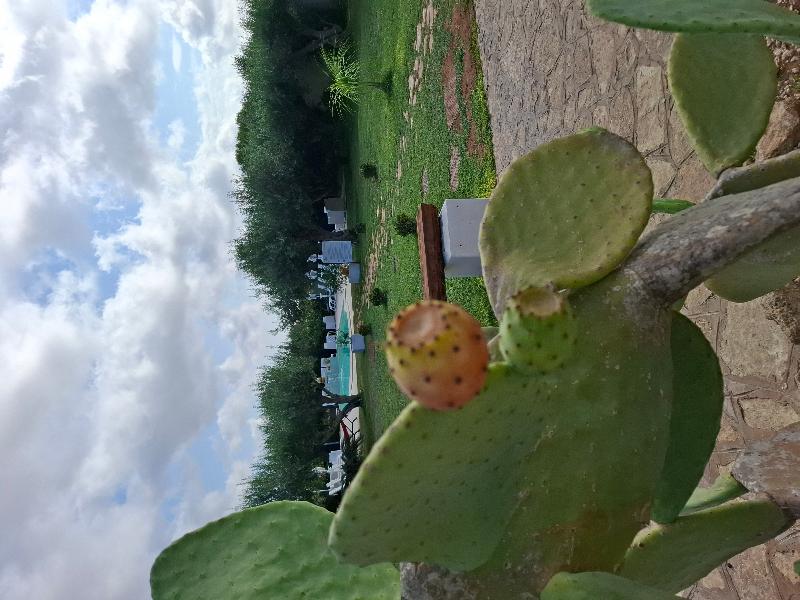 Signorino Eco Resort & spa - Image 8