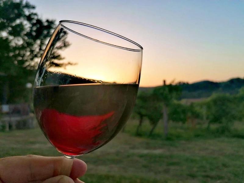 Podere Bellavista image