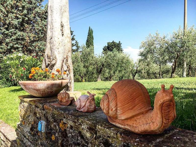 Podere Bellavista image