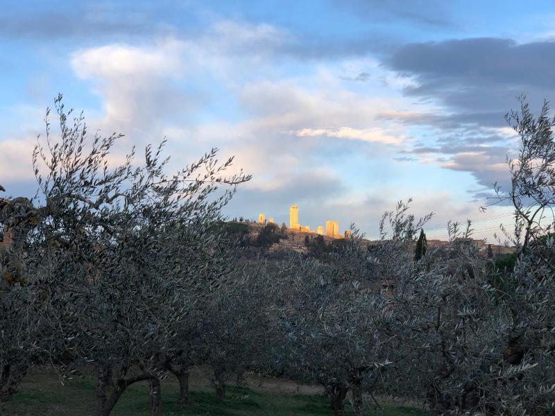 Podere Bellavista image
