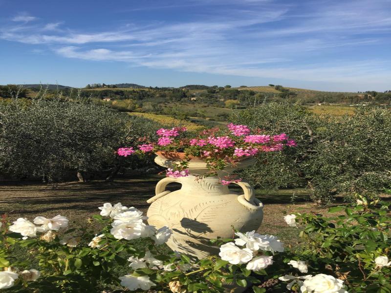 Podere Bellavista image