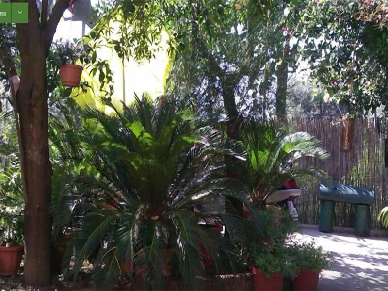Residence Casale Nunziatina image