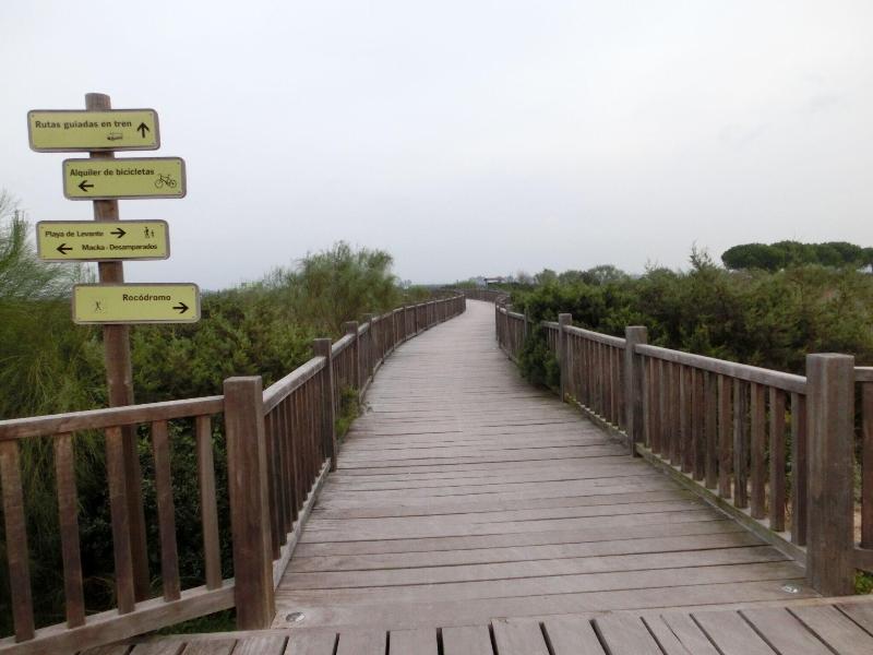 Playa de Valdelagrana image