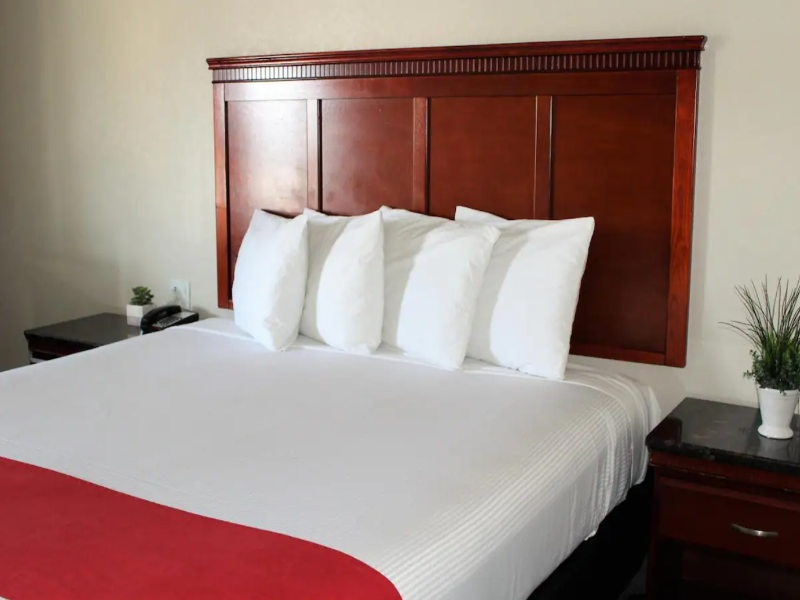 Rodeway Inn SFO image