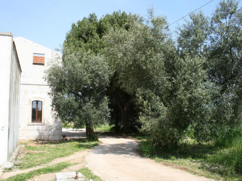 Masseria La Luna Nel Pozzo image