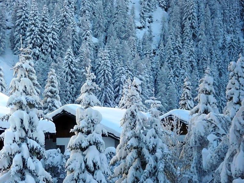 Hotel L'Aiglon image