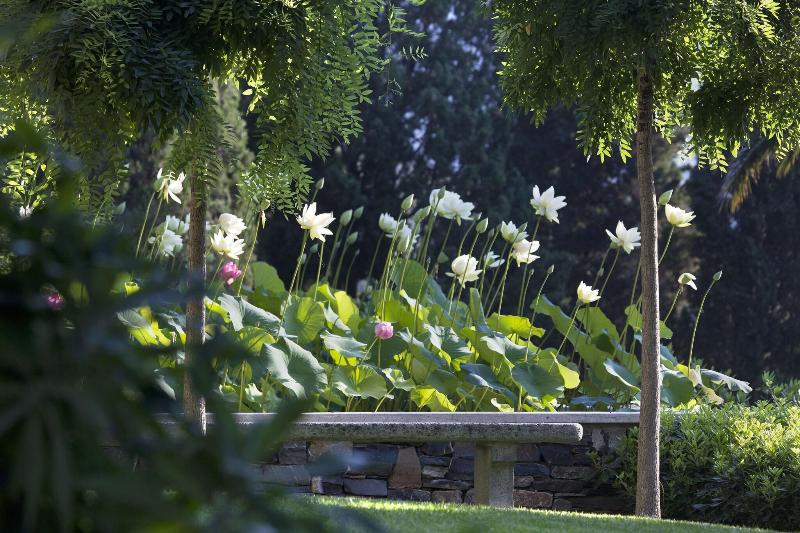 Villa Della Pergola image