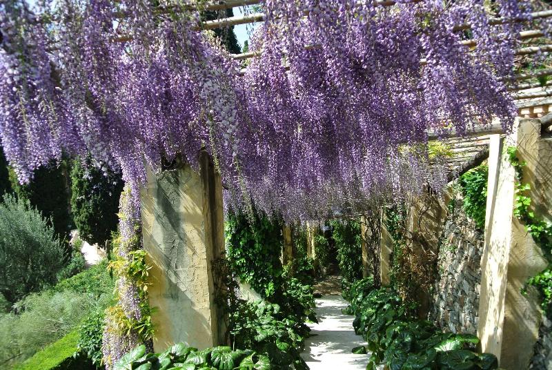 Villa Della Pergola image