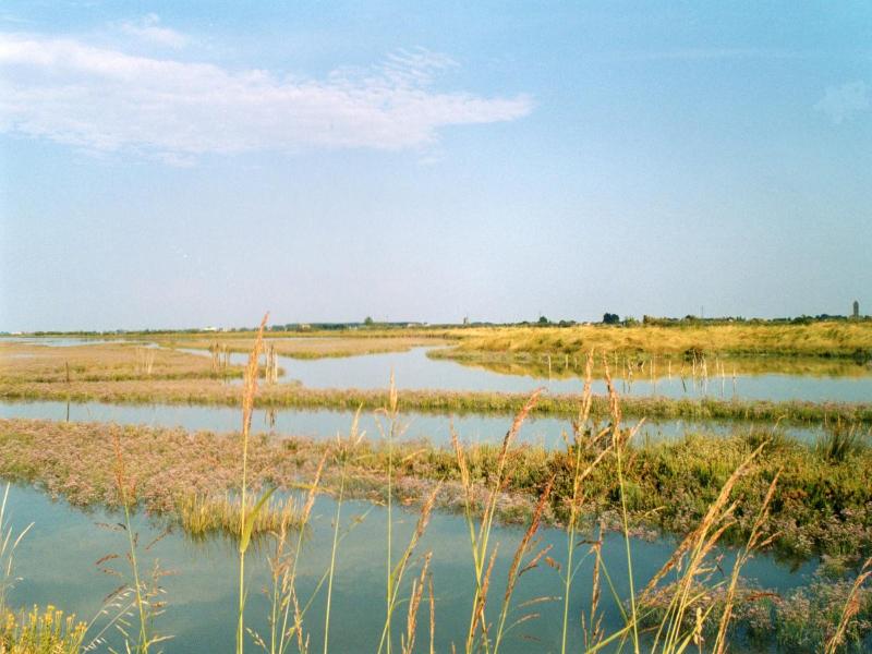 Da Vito Garni image
