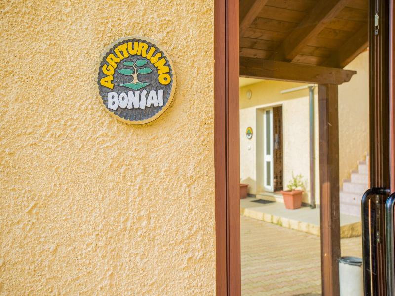 Bonsai Alghero image