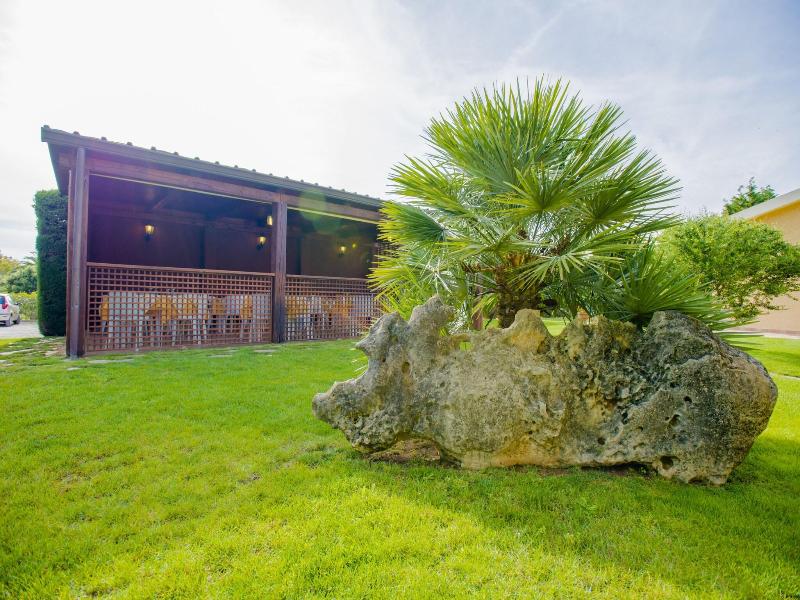 Bonsai Alghero image