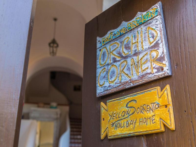Orchid Corner image