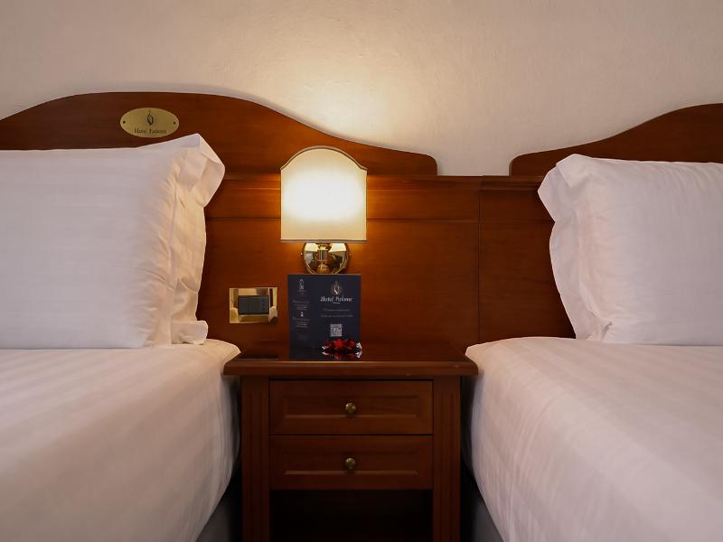 Hotel Pavone image