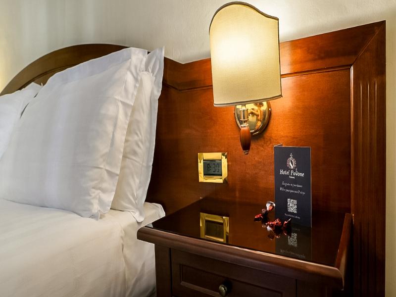 Hotel Pavone image