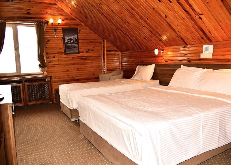 Dedeman Palandoken Resort image