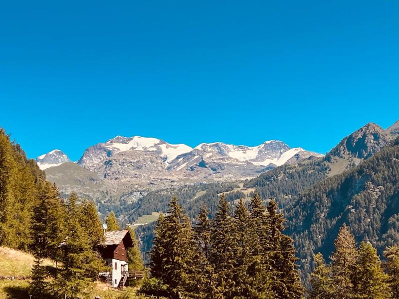Buenavista Guest House image