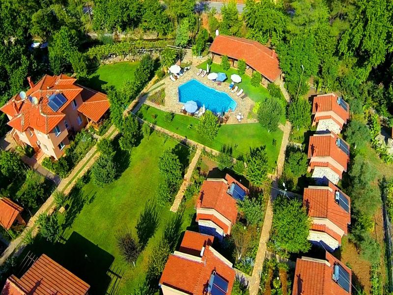 Dalya Life image