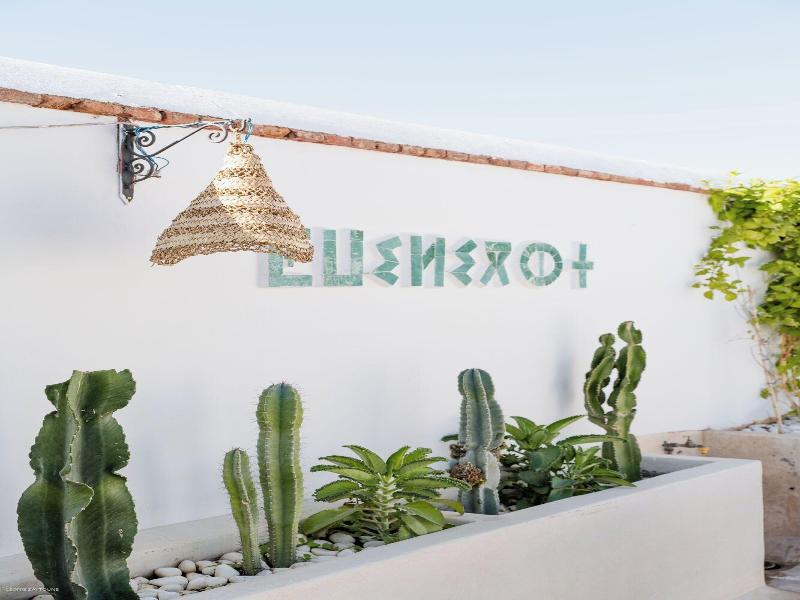 Riad Soumia image
