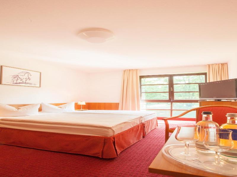 Kim Hotel Im Park image