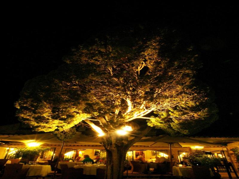 Hotel Restaurante Casa Del Maco image
