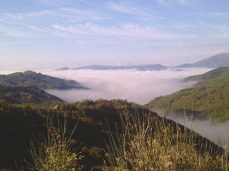Guinzano image