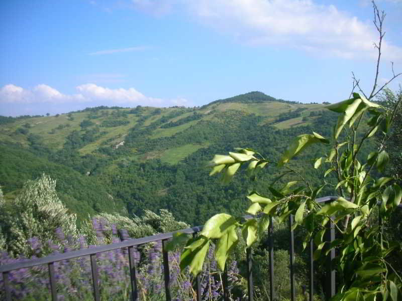 Guinzano image