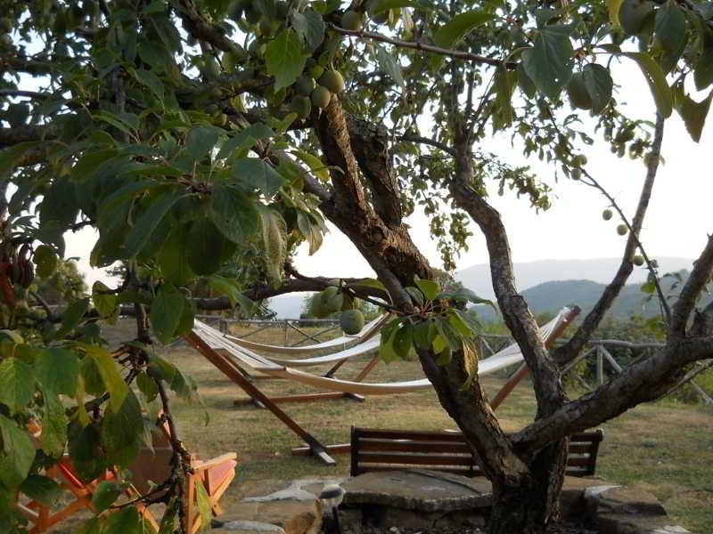 Guinzano image