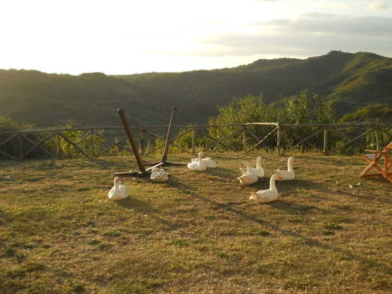 Guinzano image