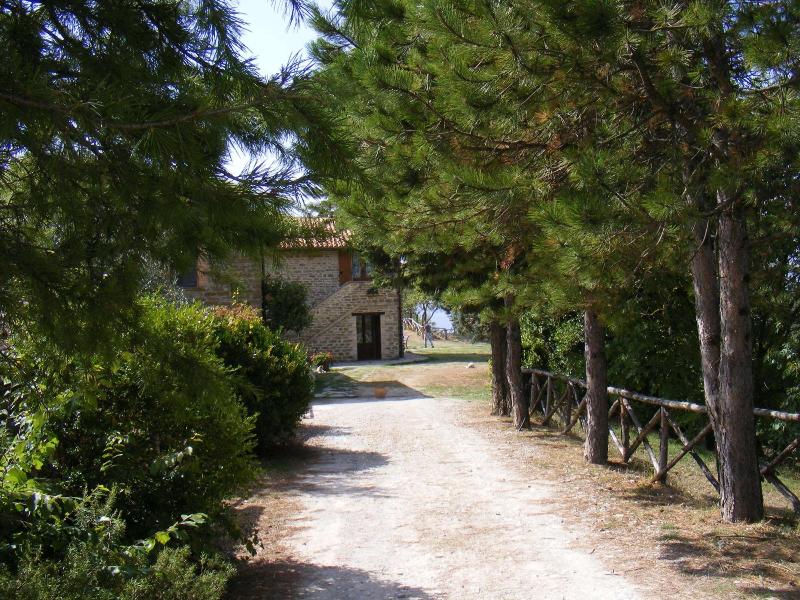 Guinzano image