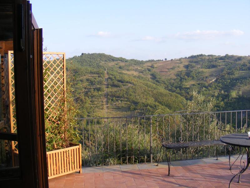 Guinzano image