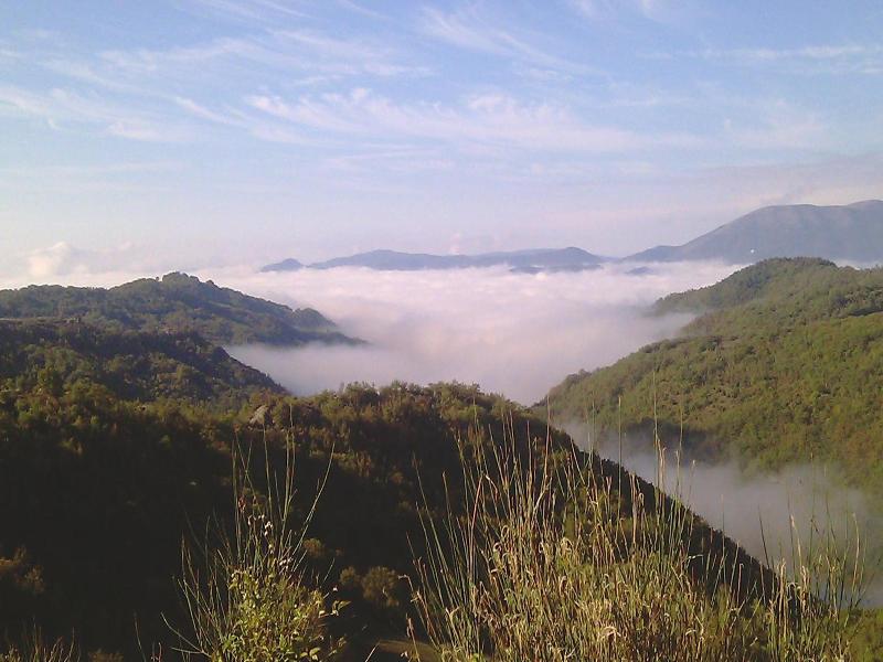 Guinzano image