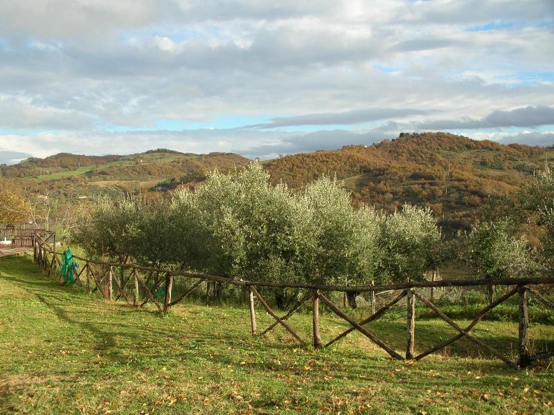 Guinzano image