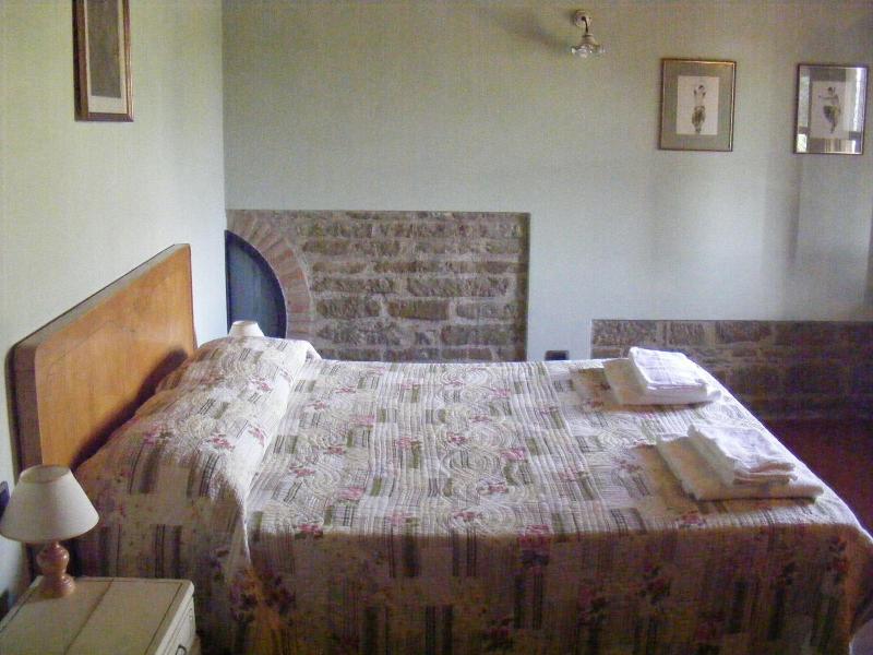Guinzano image