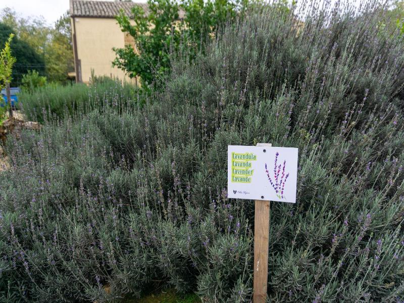 Villa Trigona image